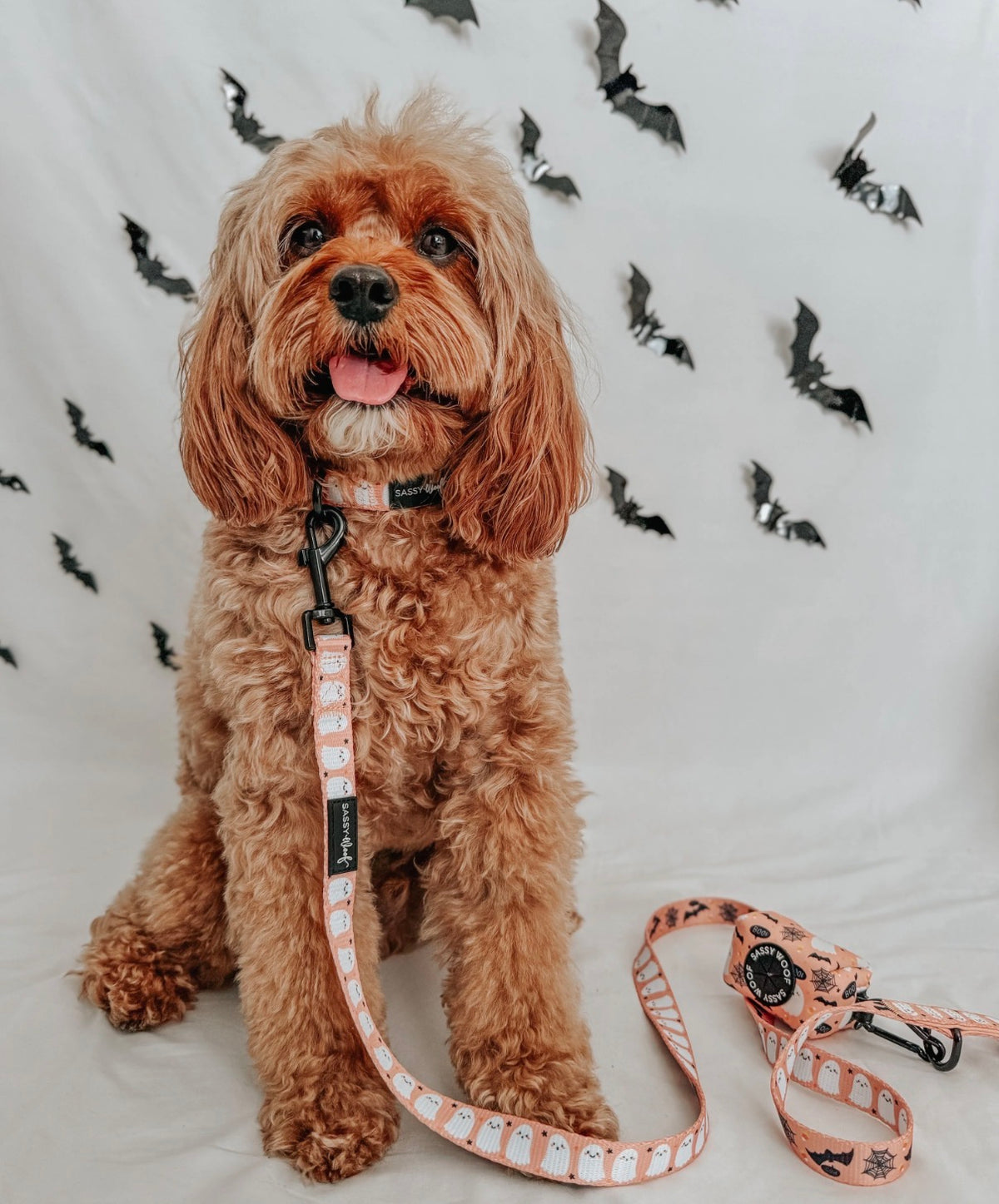 Dog Collar-Squad Ghouls
