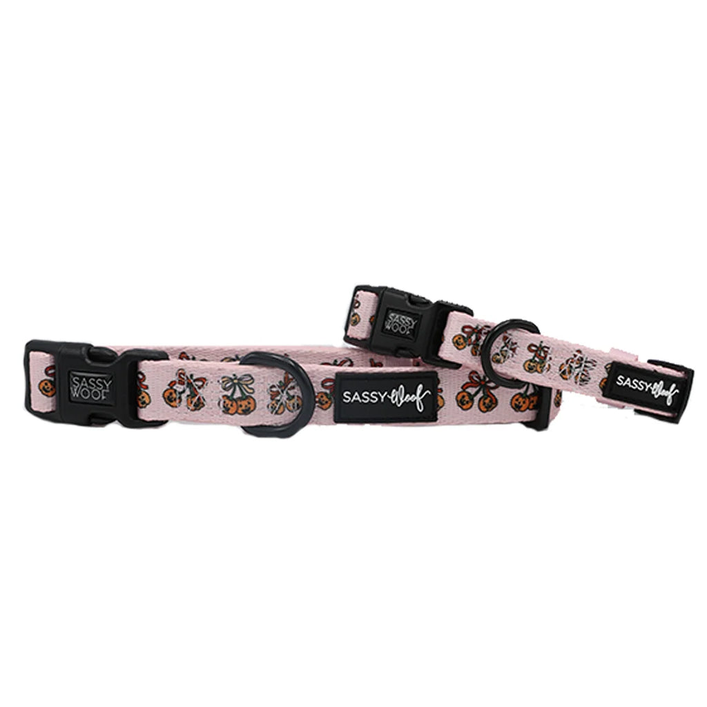 Dog Collar- Sassy Lil Pumpkins