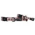 Dog Collar- Sassy Lil Pumpkins
