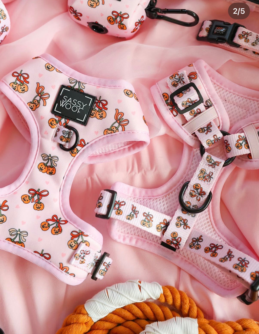 Dog Collar- Sassy Lil Pumpkins