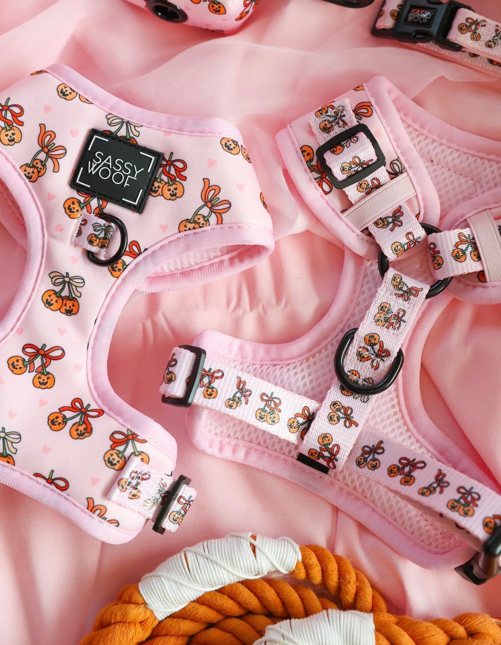 Dog Harness-Sassy Lil Pumpkins