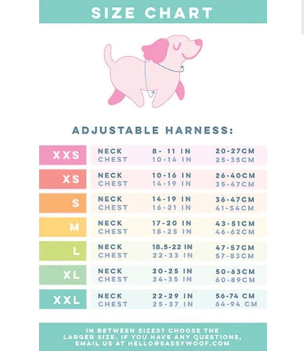 Dog Harness- Squad Ghouls