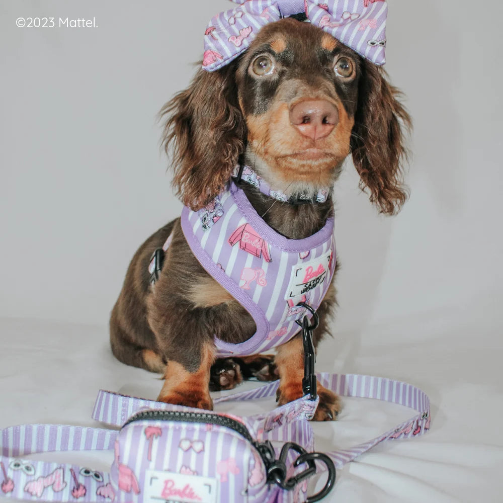 DOG COLLAR - BARBIE™ CLOSET GOALS
