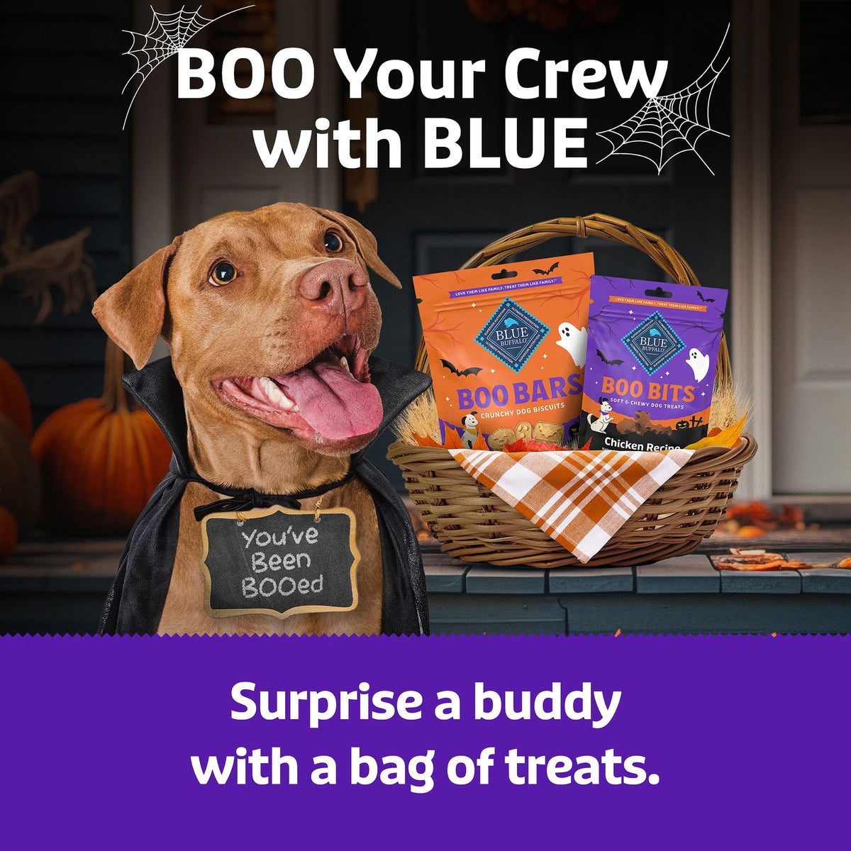 Blue Buffalo Boo Bits Tasty Chicken Recipe Soft & Chewy Halloween Dog Treats, 4.5-oz bag