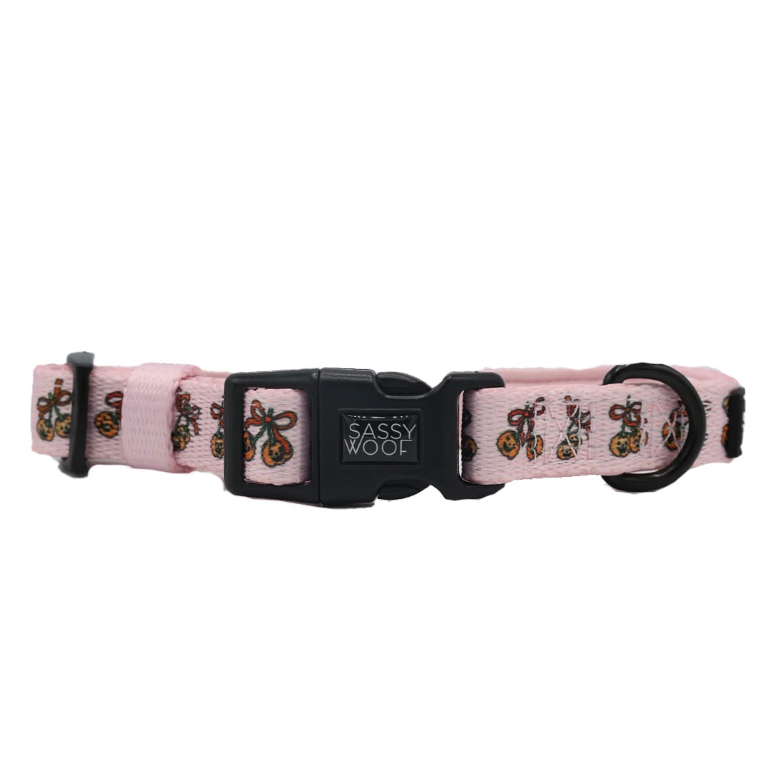 Dog Collar- Sassy Lil Pumpkins