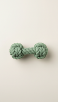 Sage Green Braided Rope Dog Toy