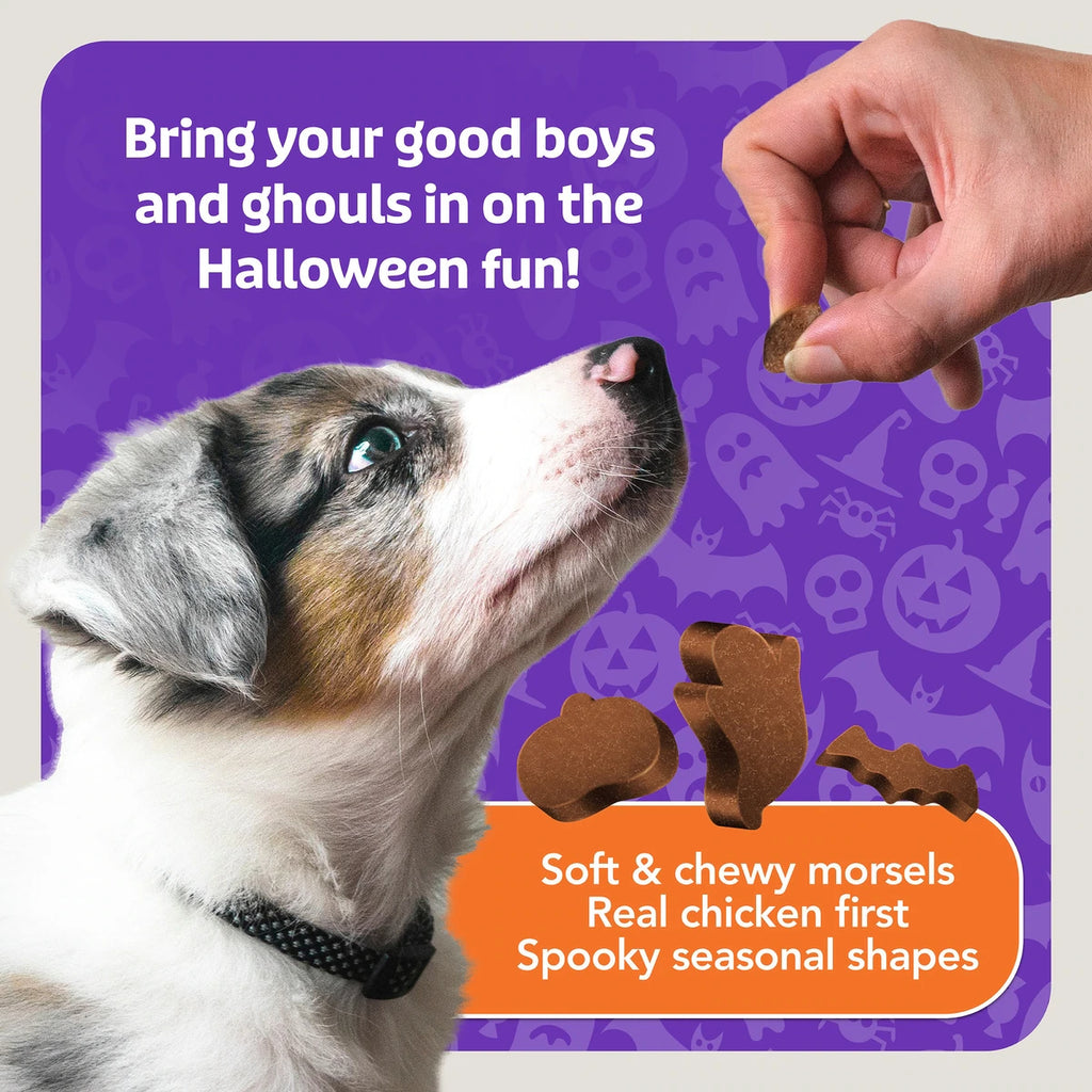 Blue Buffalo Boo Bits Tasty Chicken Recipe Soft & Chewy Halloween Dog Treats, 4.5-oz bag