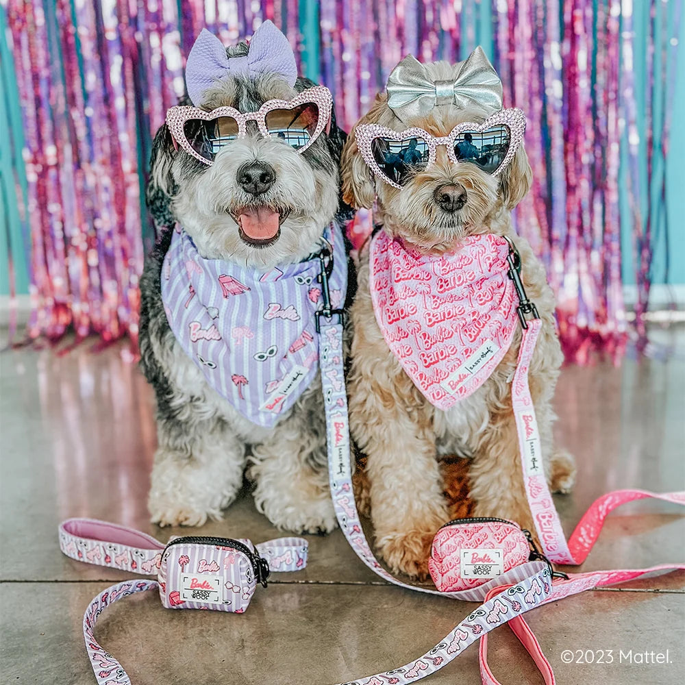 Dog Bandana - Closet Goals Barbie™