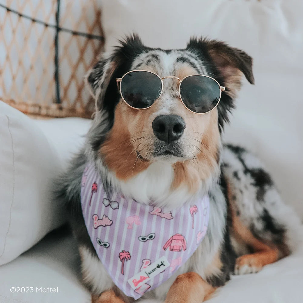 Dog Bandana - Closet Goals Barbie™
