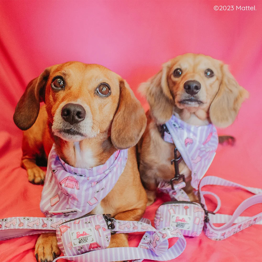 Dog Bandana - Closet Goals Barbie™