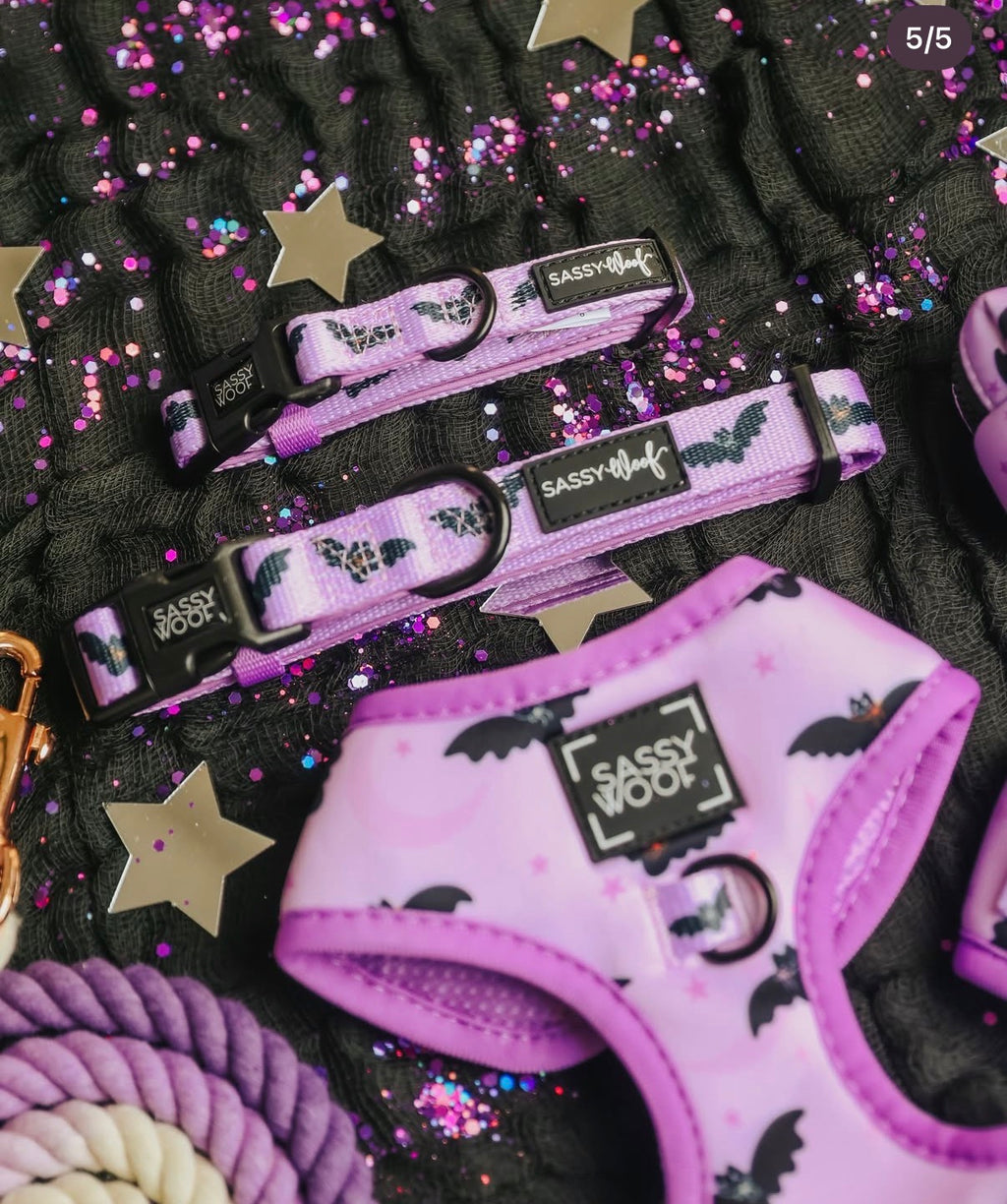 Sassy Woof Dog Harness- Lil Batty