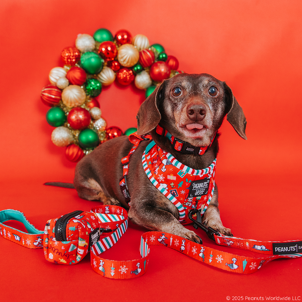 DOG ADJUSTABLE HARNESS - PEANUTS™ BEAGLE BELLS
