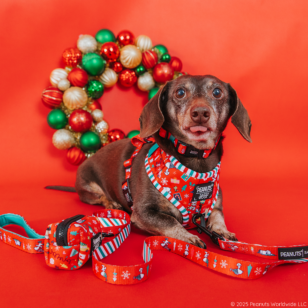 DOG ADJUSTABLE HARNESS - PEANUTS™ BEAGLE BELLS