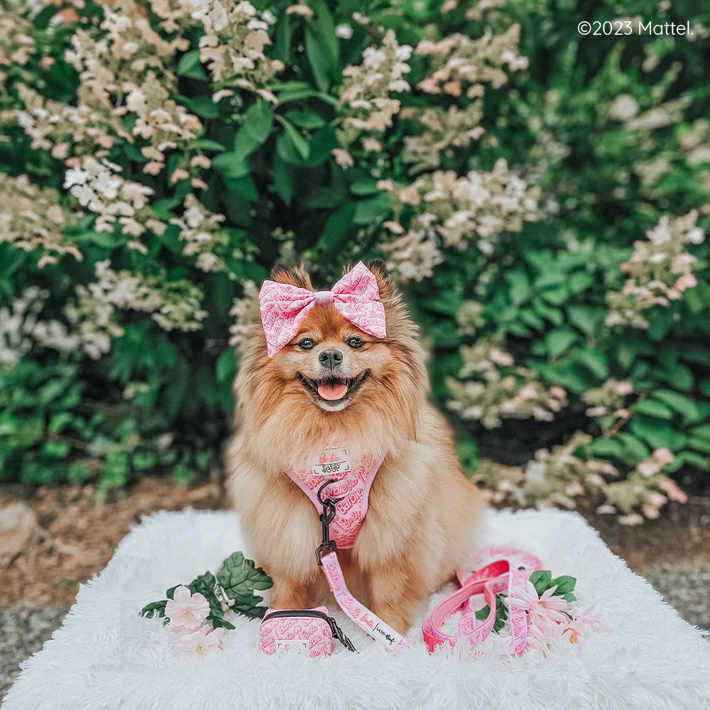 DOG LEASH - BARBIE™ MALIBU