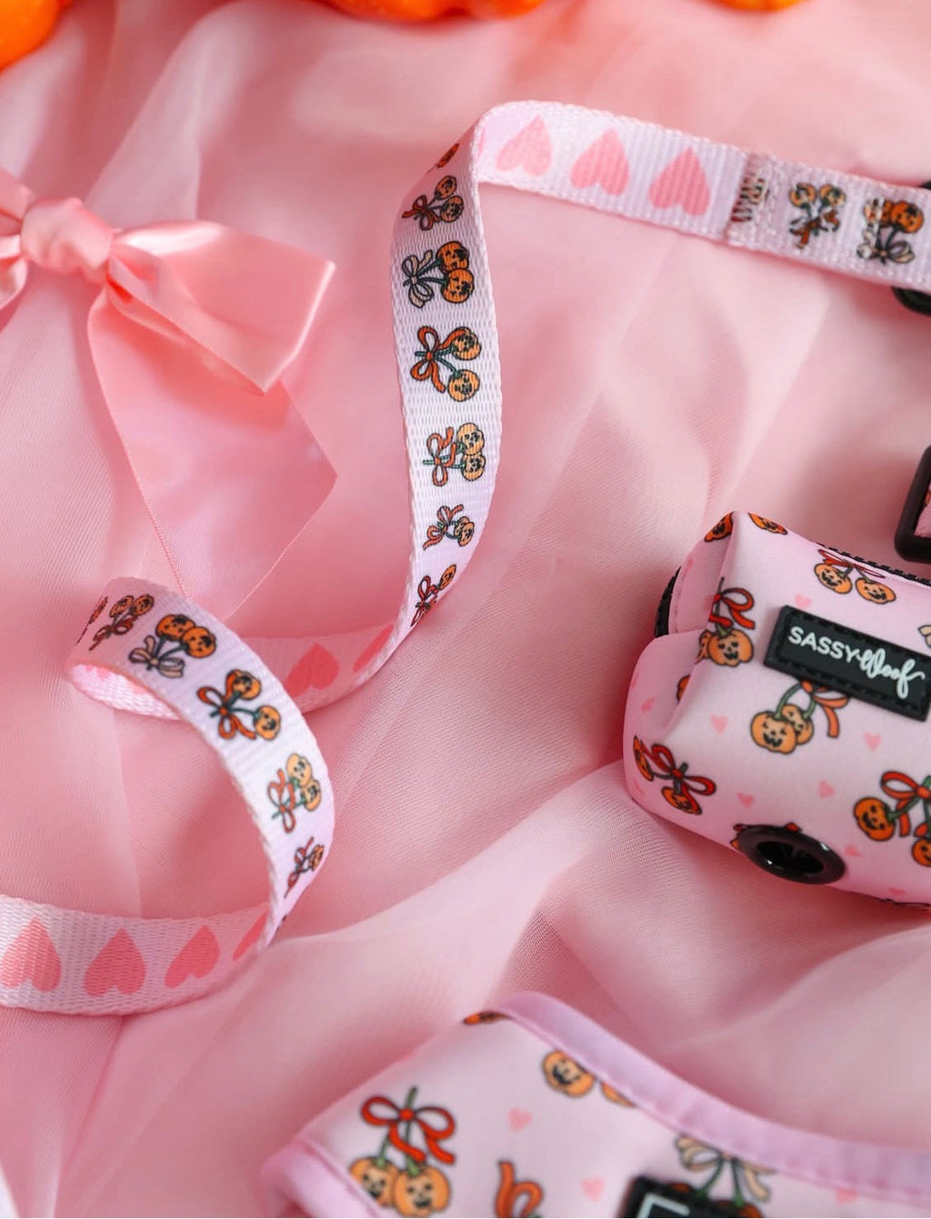 Dog Collar- Sassy Lil Pumpkins