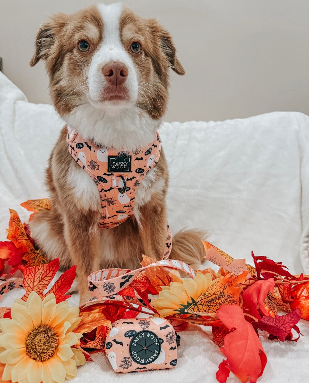 Dog Harness- Squad Ghouls
