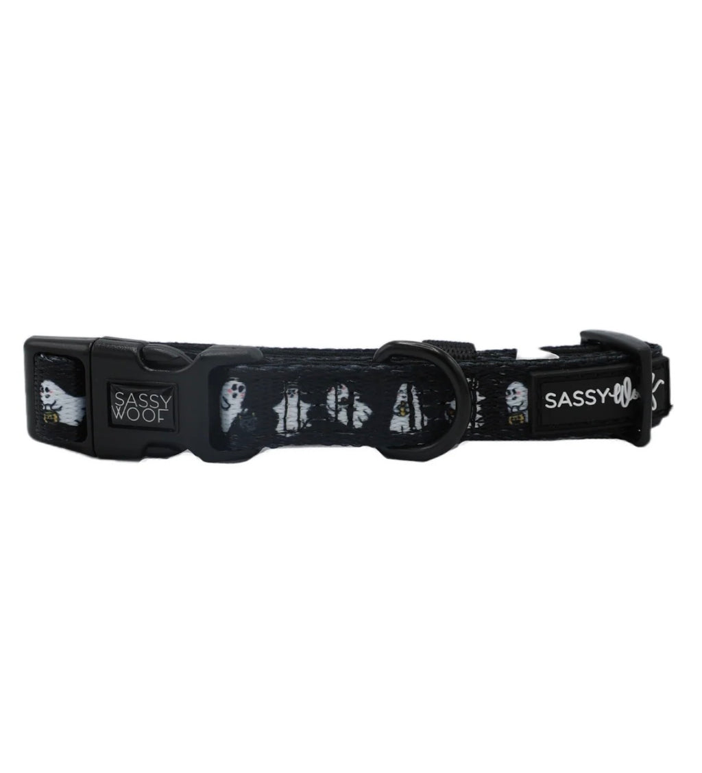 Sassy Woof Lil' Boo Dog Collar