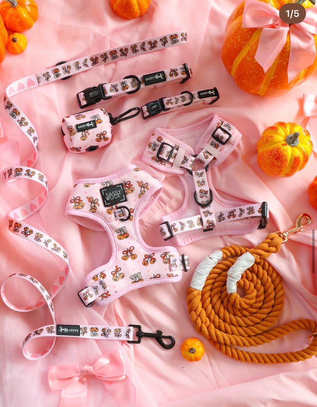 Dog Collar- Sassy Lil Pumpkins