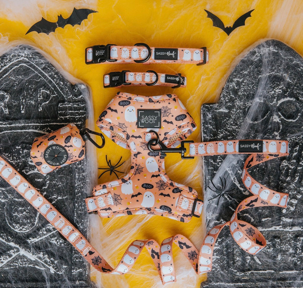 Dog Harness- Squad Ghouls