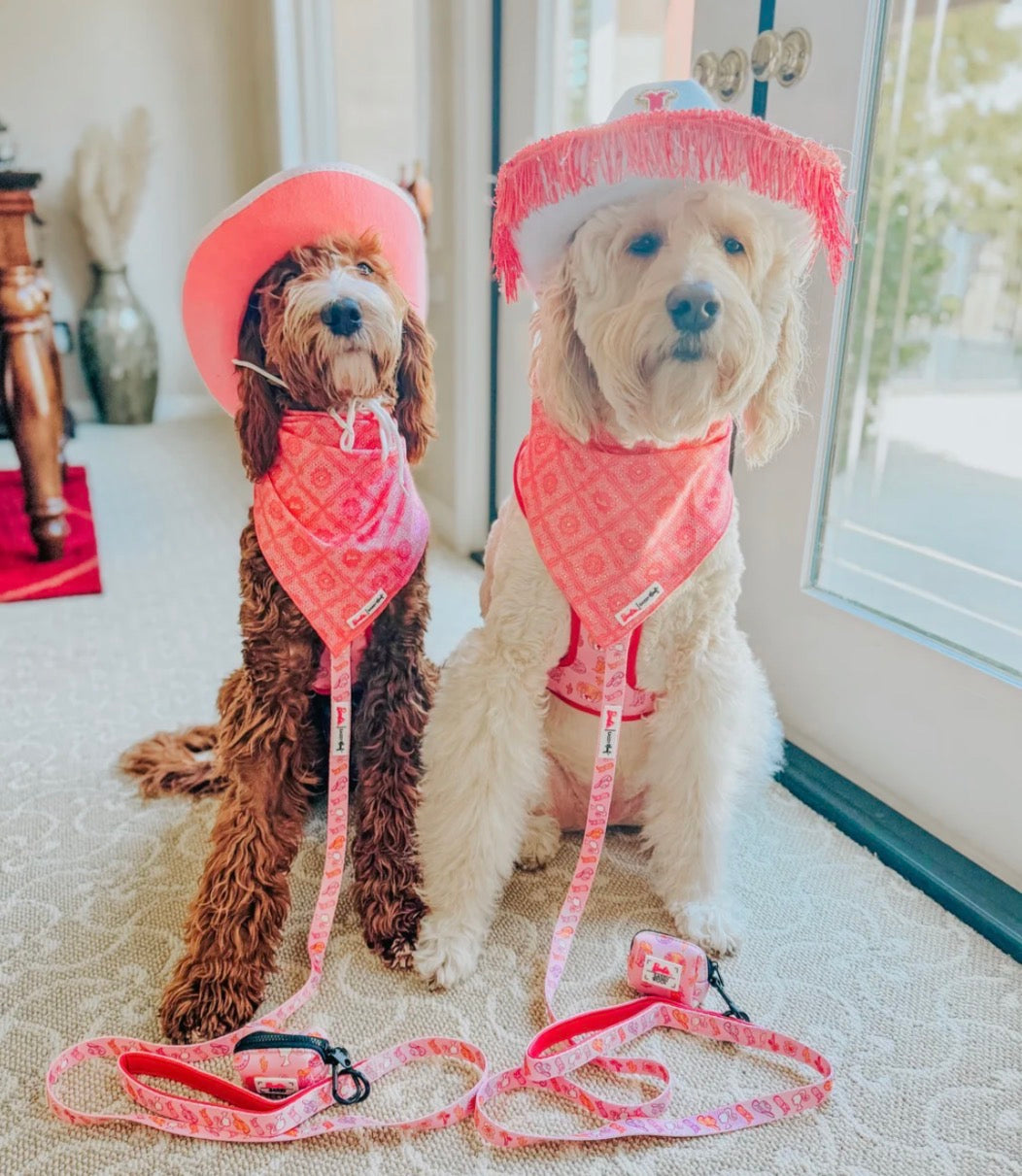 Dog Bandana - Western Barbie™
