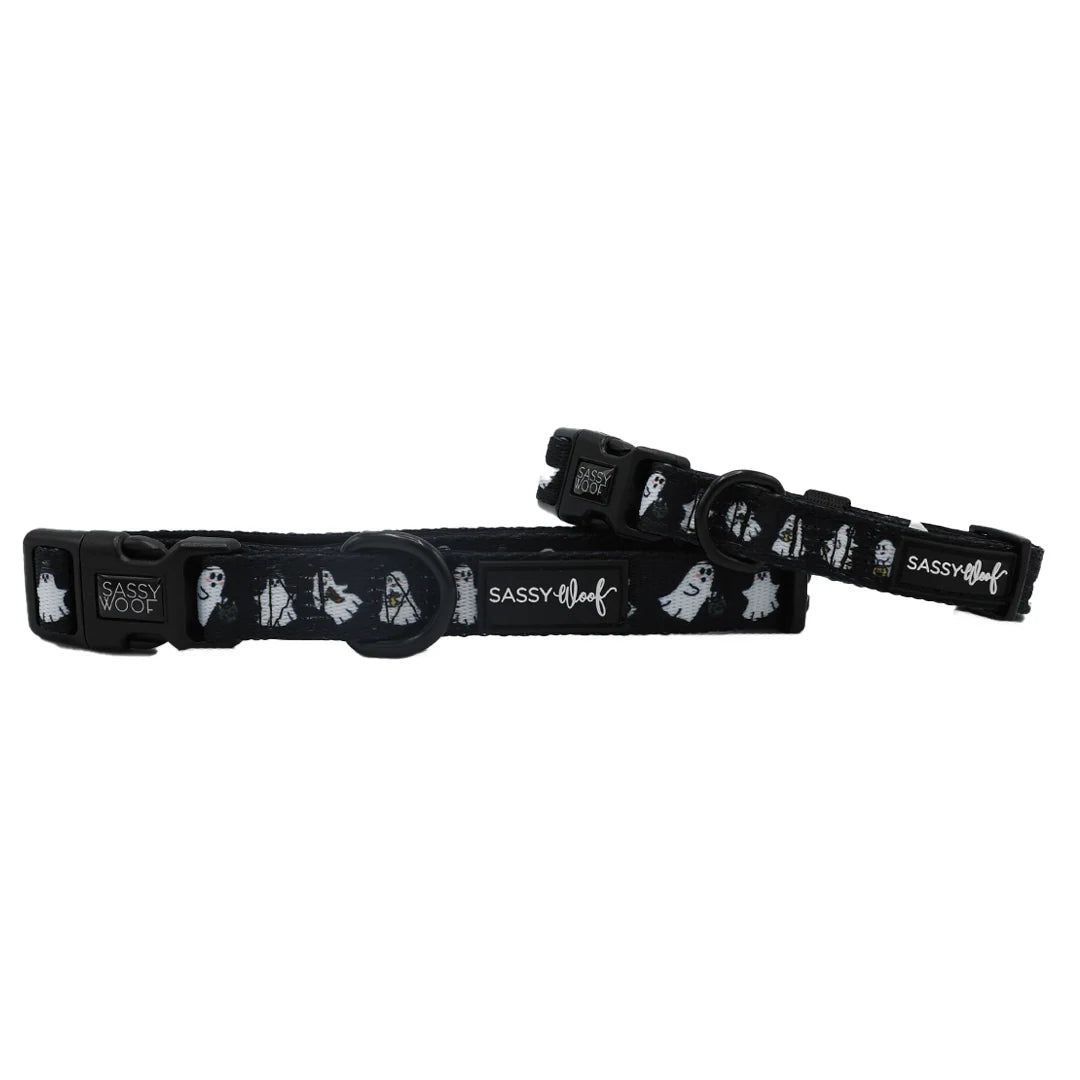 Sassy Woof Lil' Boo Dog Collar