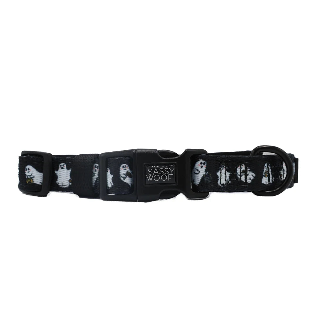 Sassy Woof Lil' Boo Dog Collar