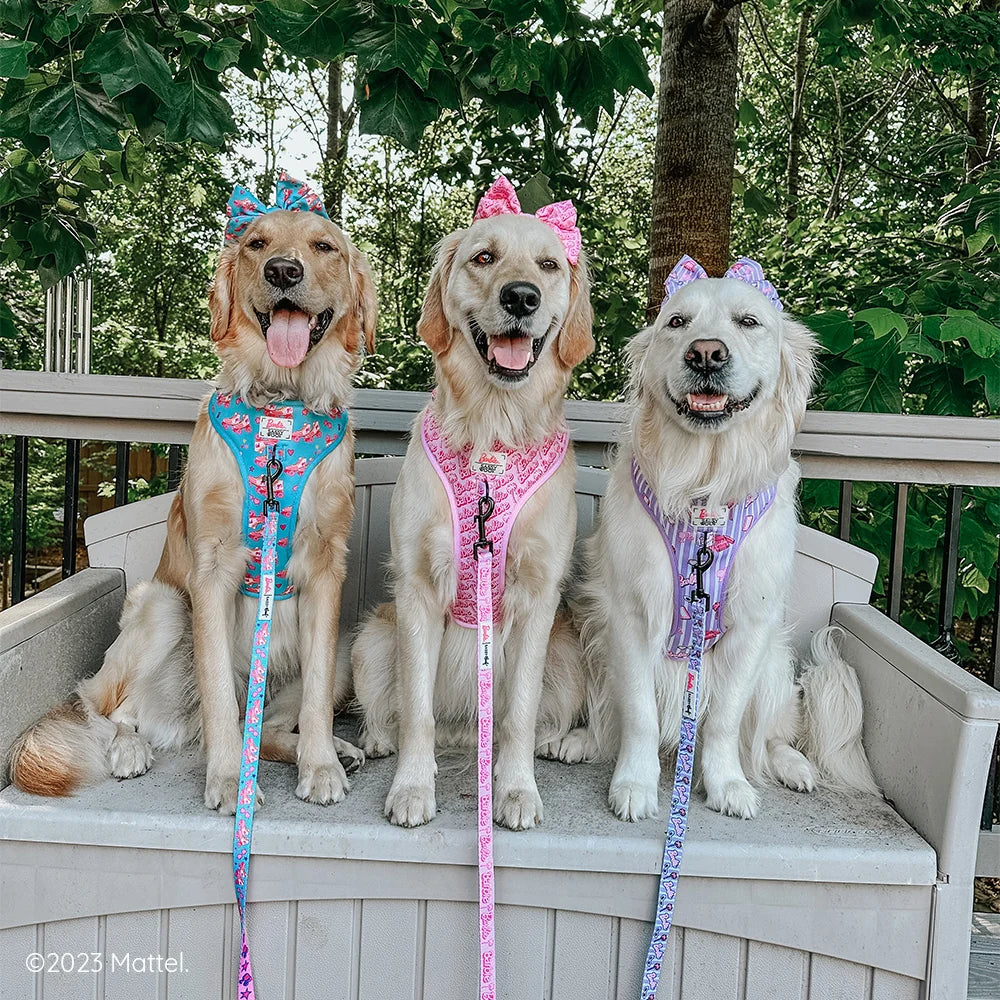 DOG LEASH - BARBIE™ MALIBU