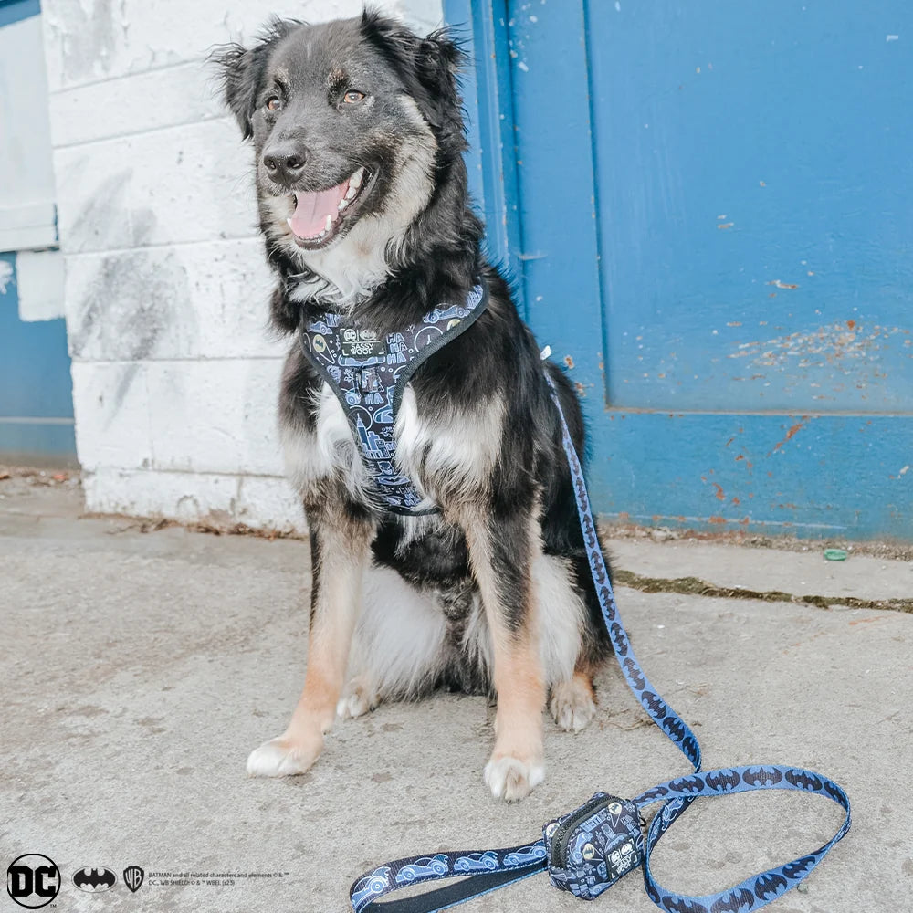 Sassy Woof Dog Leash- Batman