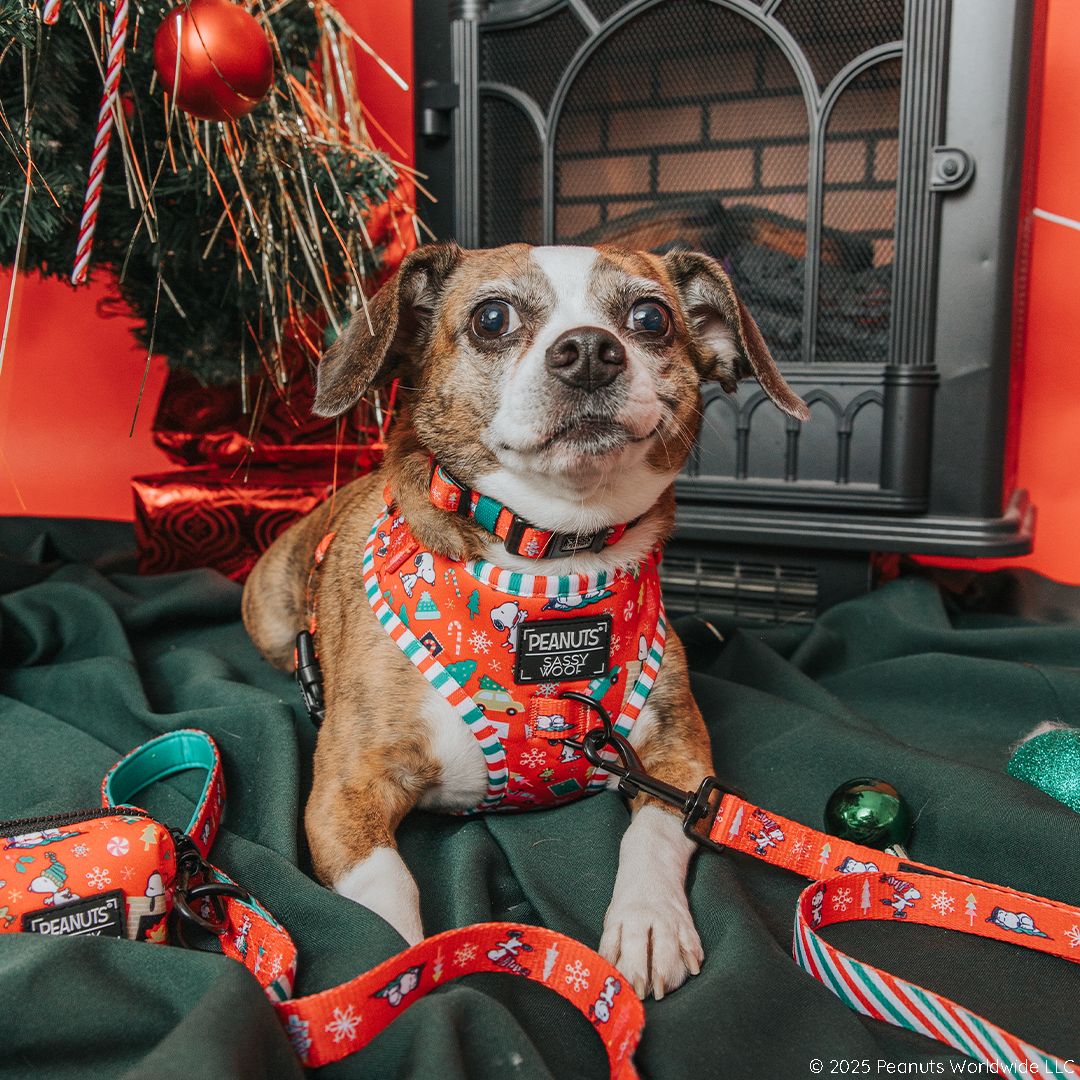 DOG ADJUSTABLE HARNESS - PEANUTS™ BEAGLE BELLS