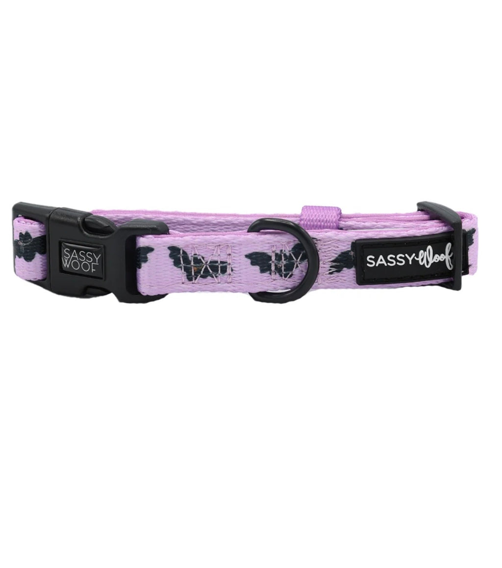 Sassy Woof Dog Collar- Lil Batty