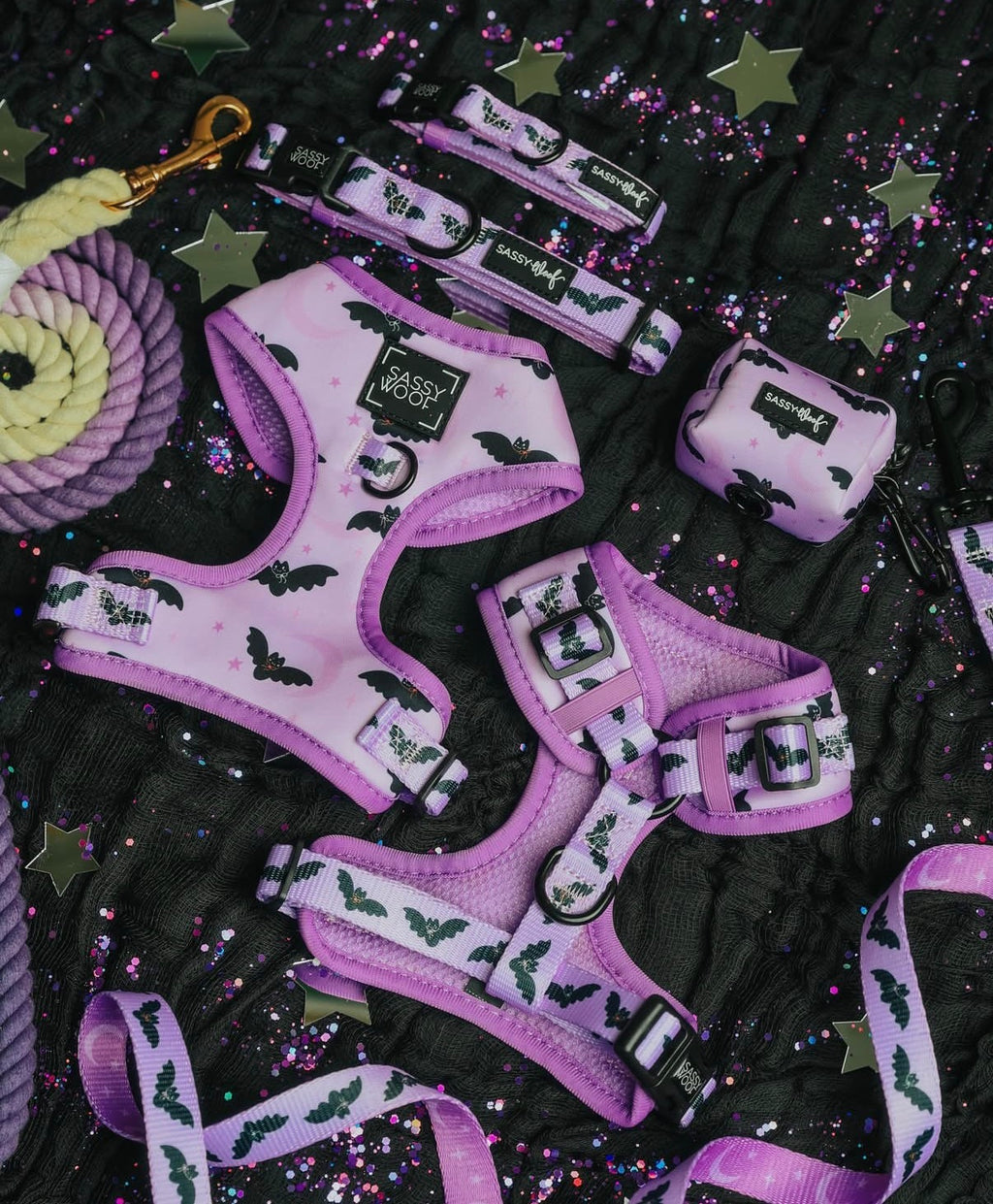 Sassy Woof Dog Harness- Lil Batty