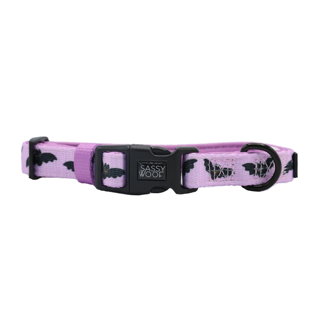 Sassy Woof Dog Collar- Lil Batty