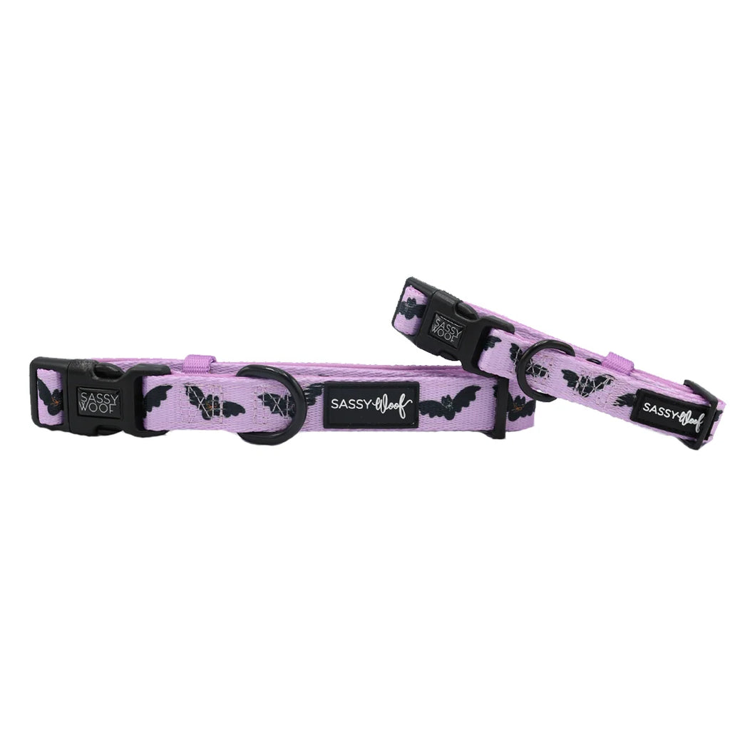 Sassy Woof Dog Collar- Lil Batty