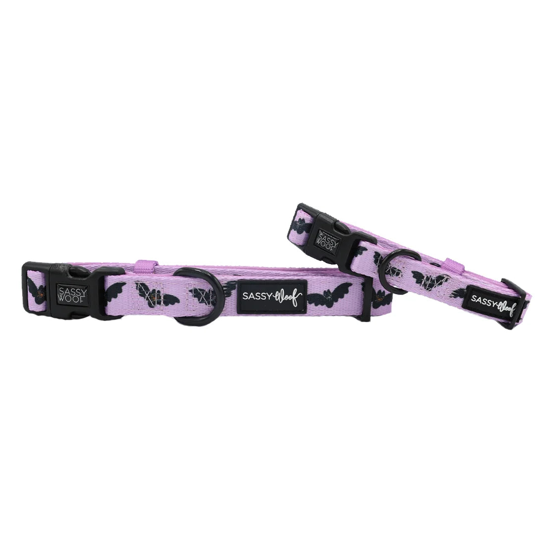 Sassy Woof Dog Collar- Lil Batty