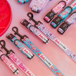 DOG LEASH - BARBIE™ ON A ROLL
