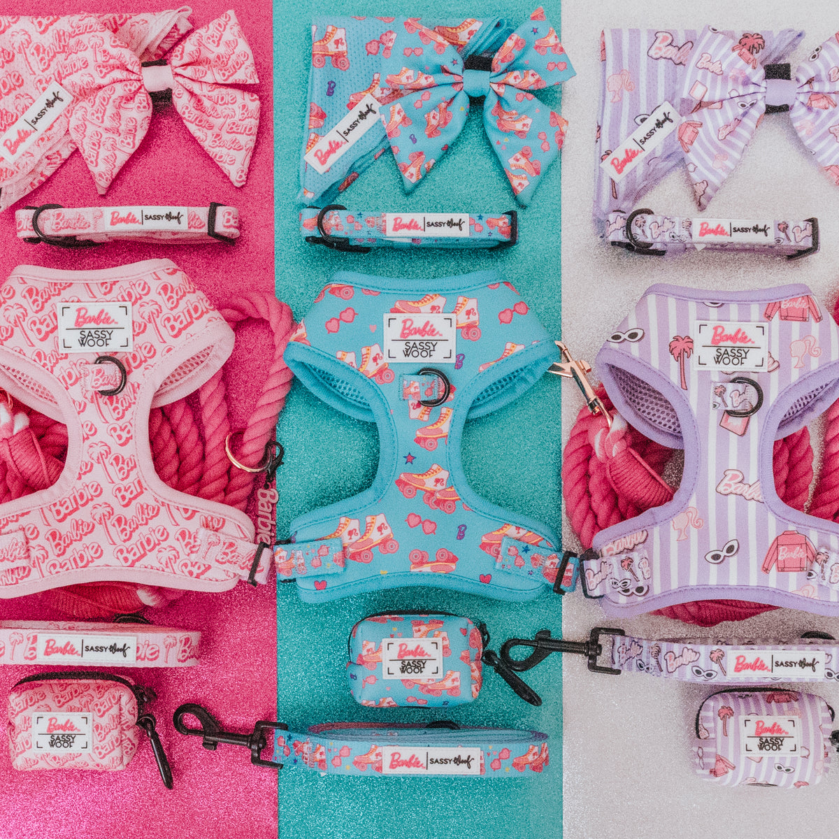 Dog Collar - BARBIE™ On a Roll