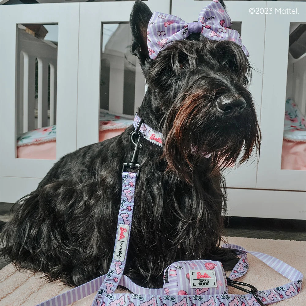 DOG LEASH - BARBIE™ CLOSET GOALS