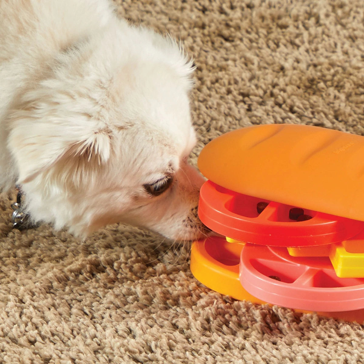 Brightkins Pupstrami Surprise! Treat Puzzle Dog Toy