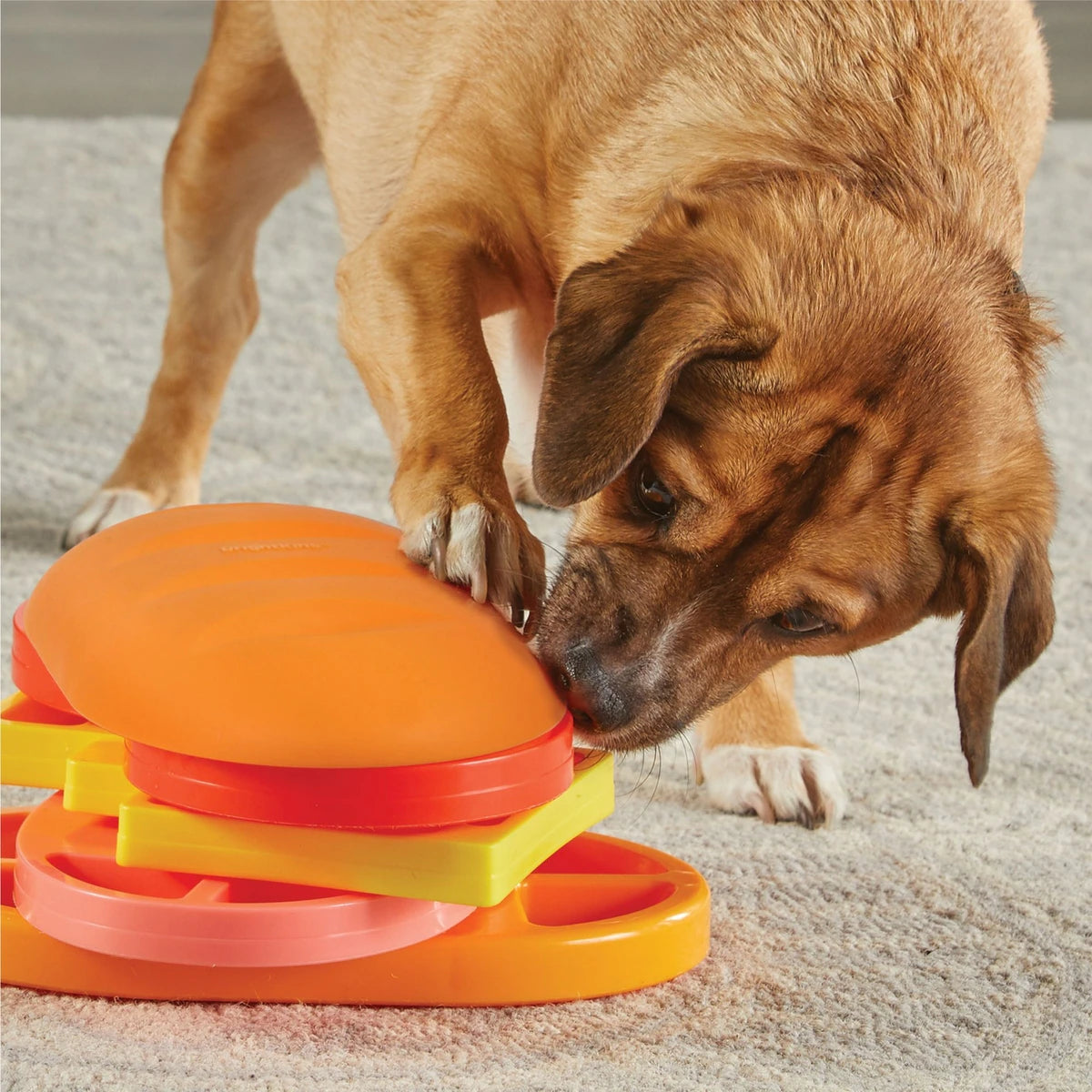 Brightkins Pupstrami Surprise! Treat Puzzle Dog Toy