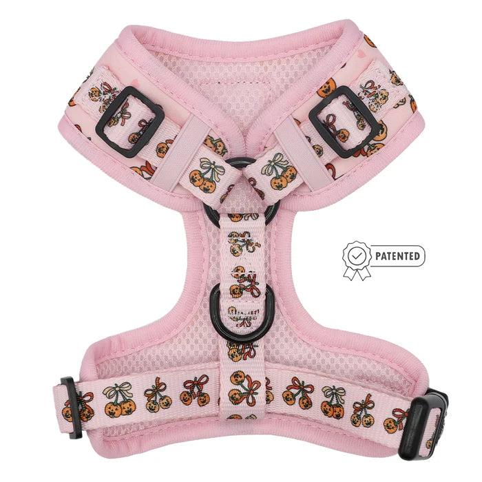Dog Harness-Sassy Lil Pumpkins