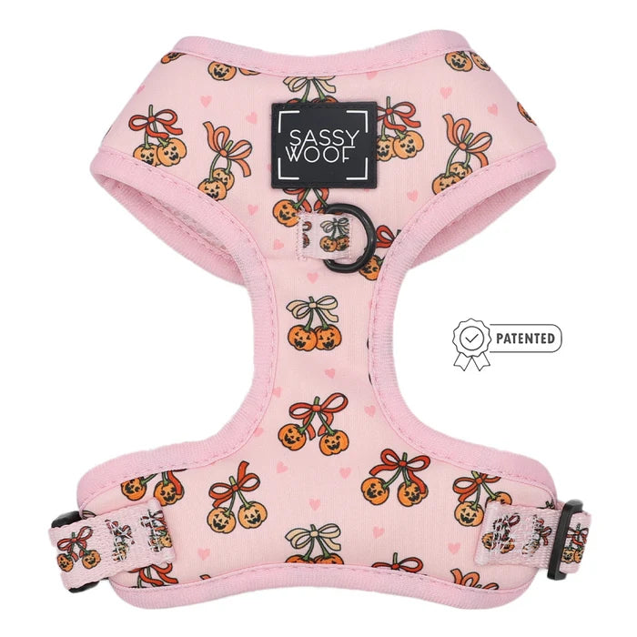 Dog Harness-Sassy Lil Pumpkins
