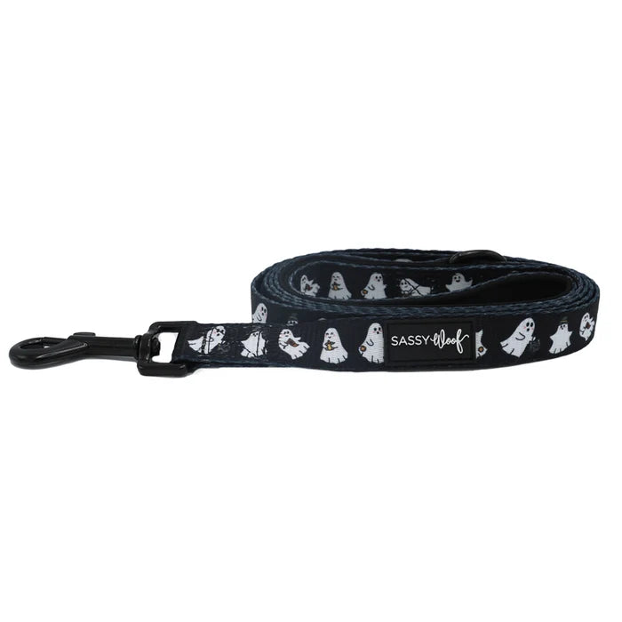 Dog Leash-Ghost
