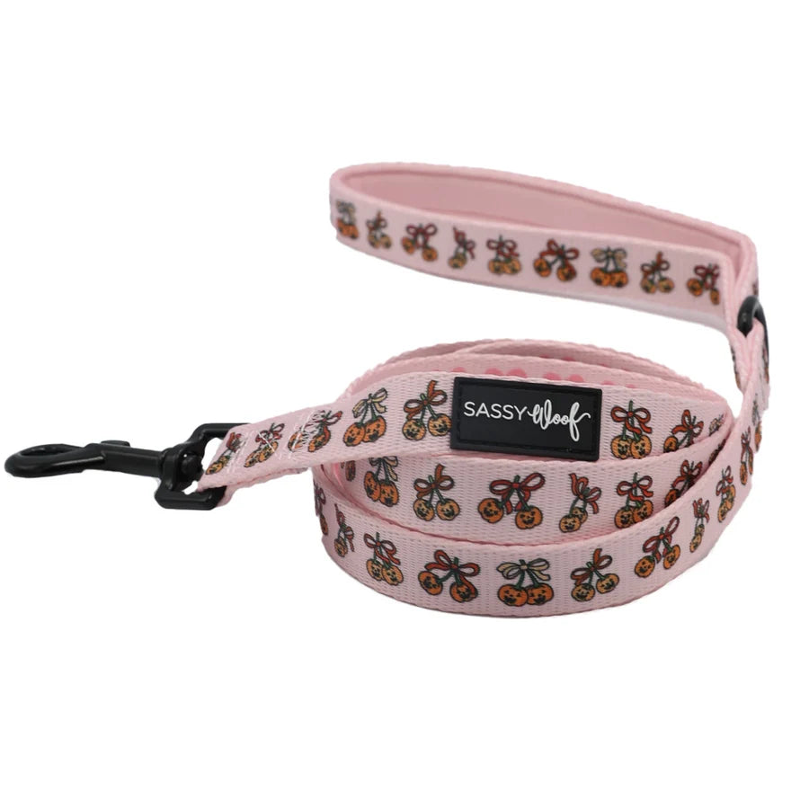 Dog Leash-Sassy Lil Pumpkins