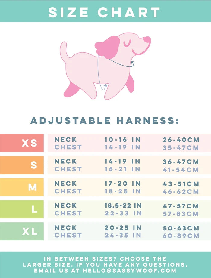 Dog Harness-Sassy Lil Pumpkins