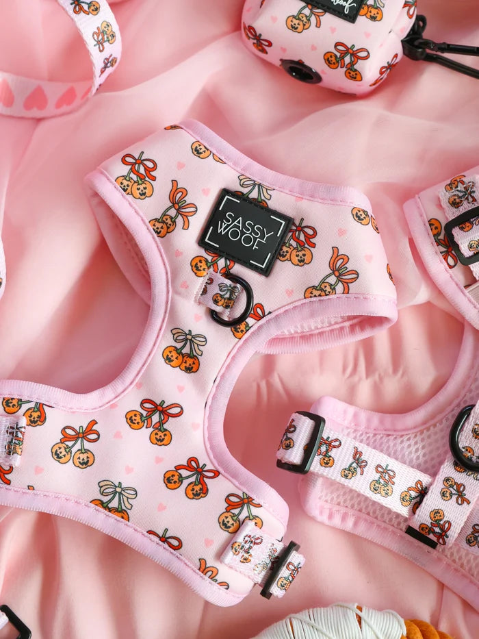Dog Harness-Sassy Lil Pumpkins