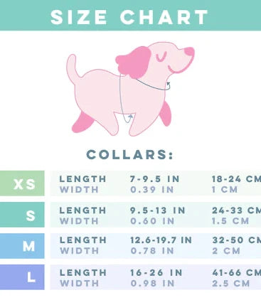 Dog Collar - BARBIE™ On a Roll